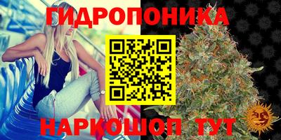 стафф Заводоуковск
