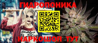 стафф Заводоуковск