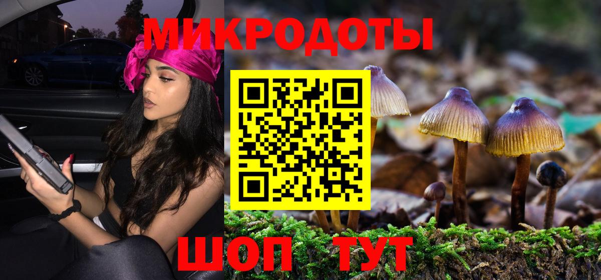 закладка  Галлюциногенные грибы Psilocybine cubensis  Вход с VPN  Муравленко  Галлюциногенные грибы MAGIC MUSHROOMS 